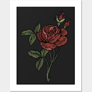 Whimsigoth Rose Tattoo Drawing Posters and Art